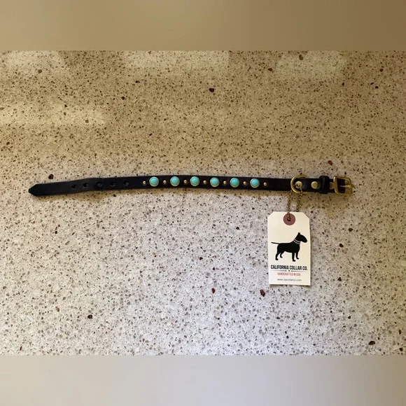 NWT California Collar Co.5/8 Diego Leather Dog Collar with Turquoise